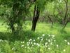 40 FM 666 photo
